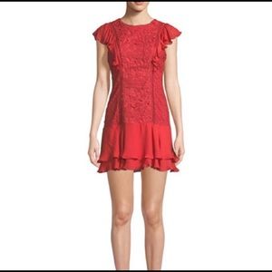 Parker Pink Bennett Round Neck Lace Ruffle Dress